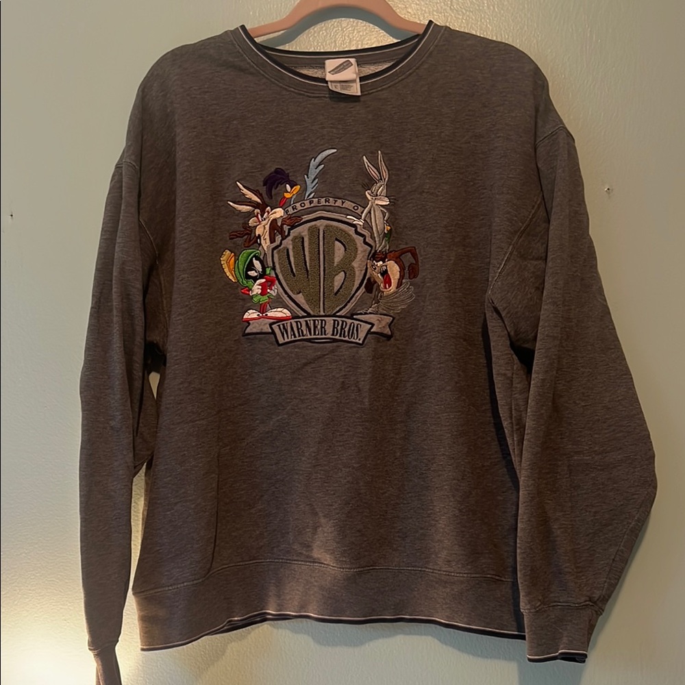 Warner Bros. Gray Crewneck Sweater with Embroidery